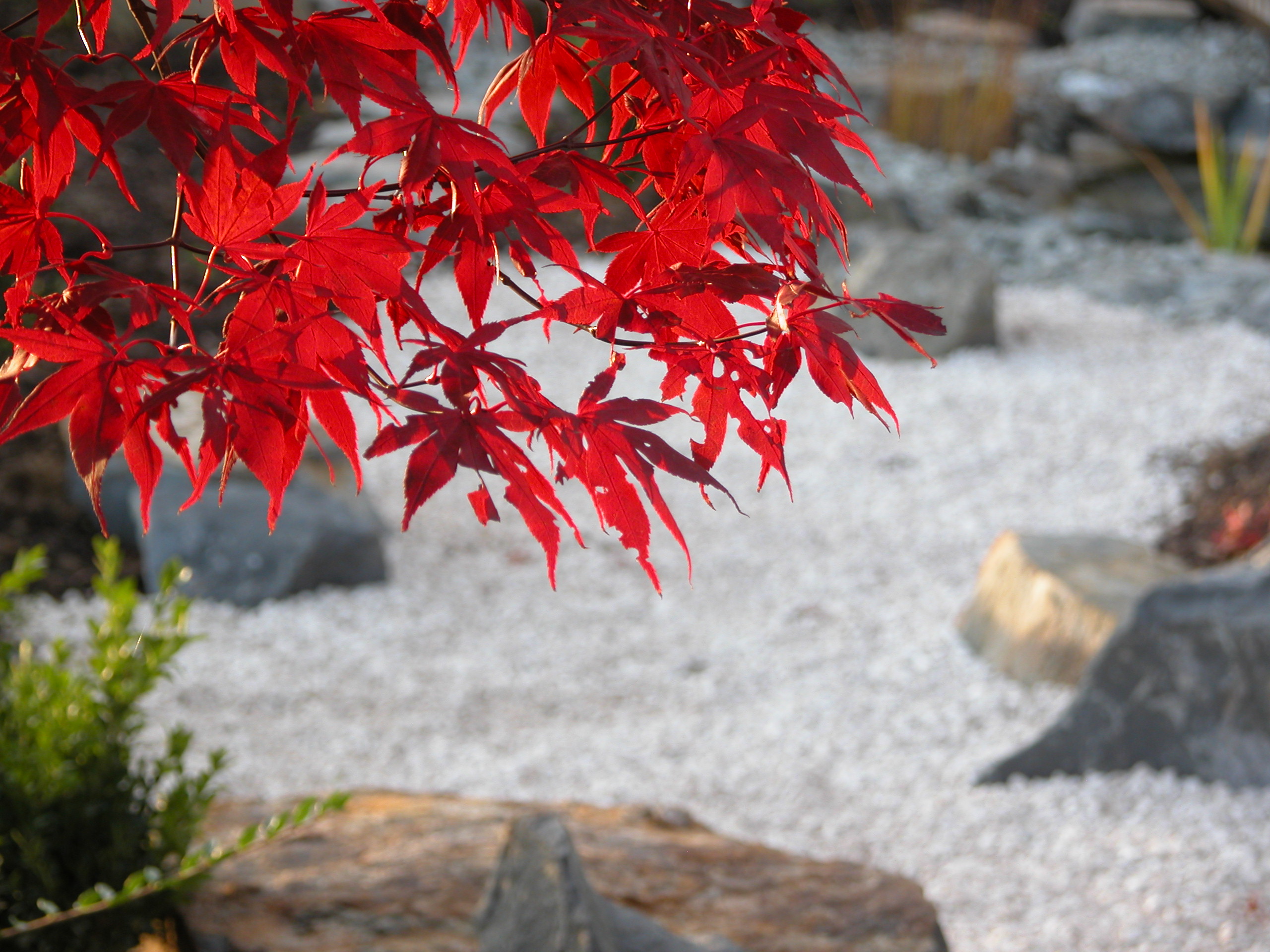 Beschreibung des erten Bildes