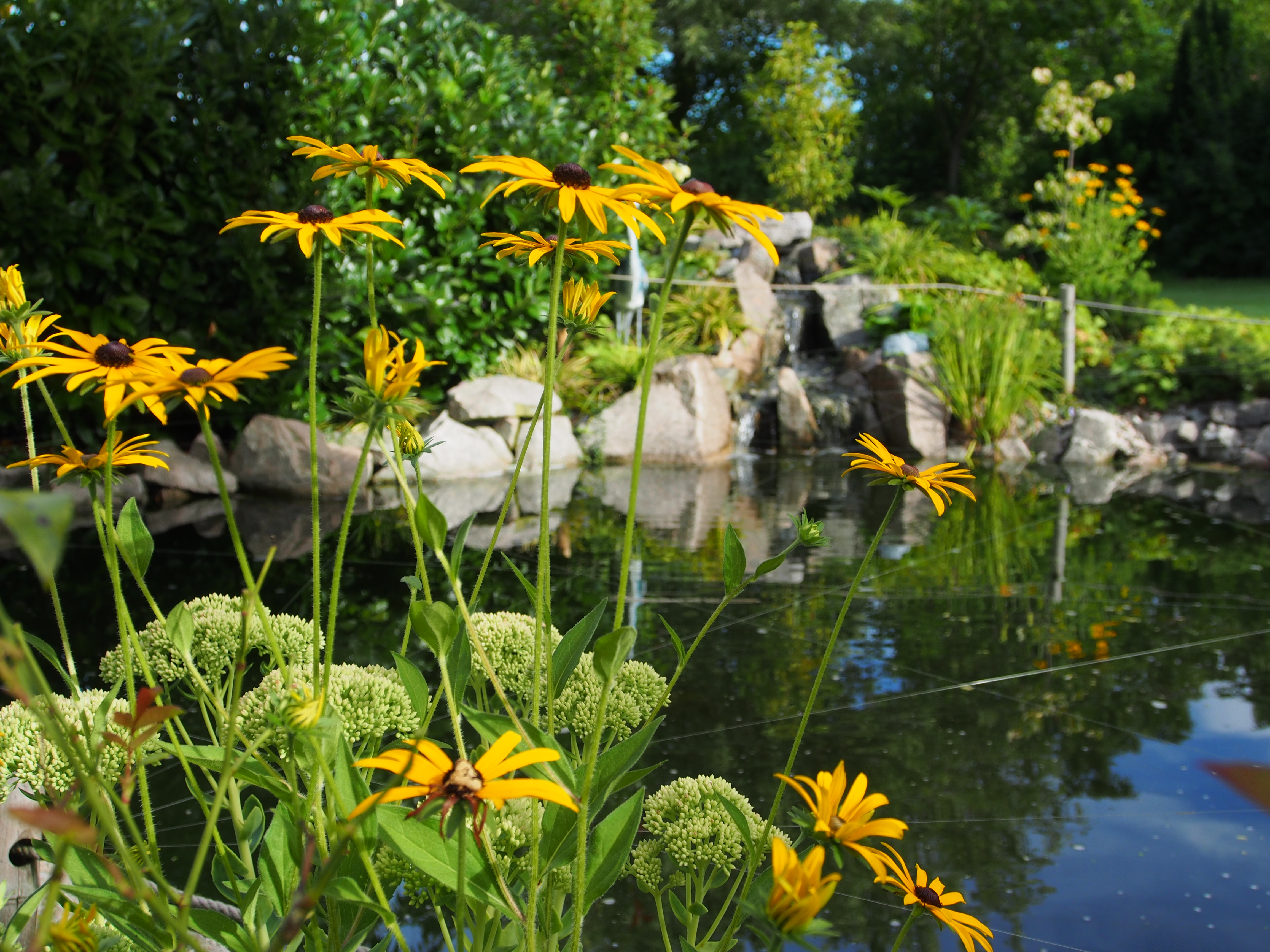 Gartengestaltung grün
