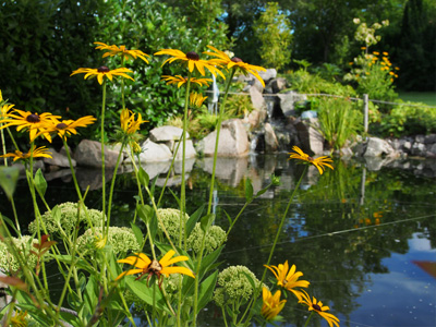 Wasserlandschaft_gelb